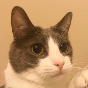 Meet your Posher, Yuanxi